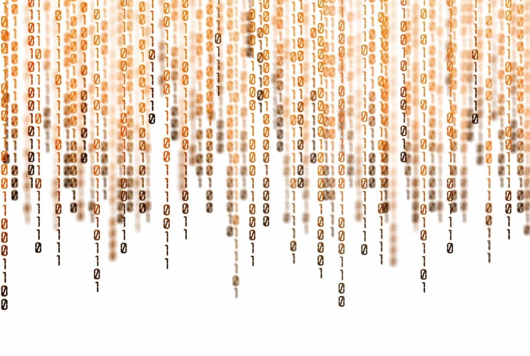 Email already present, failed to insert users. Error.